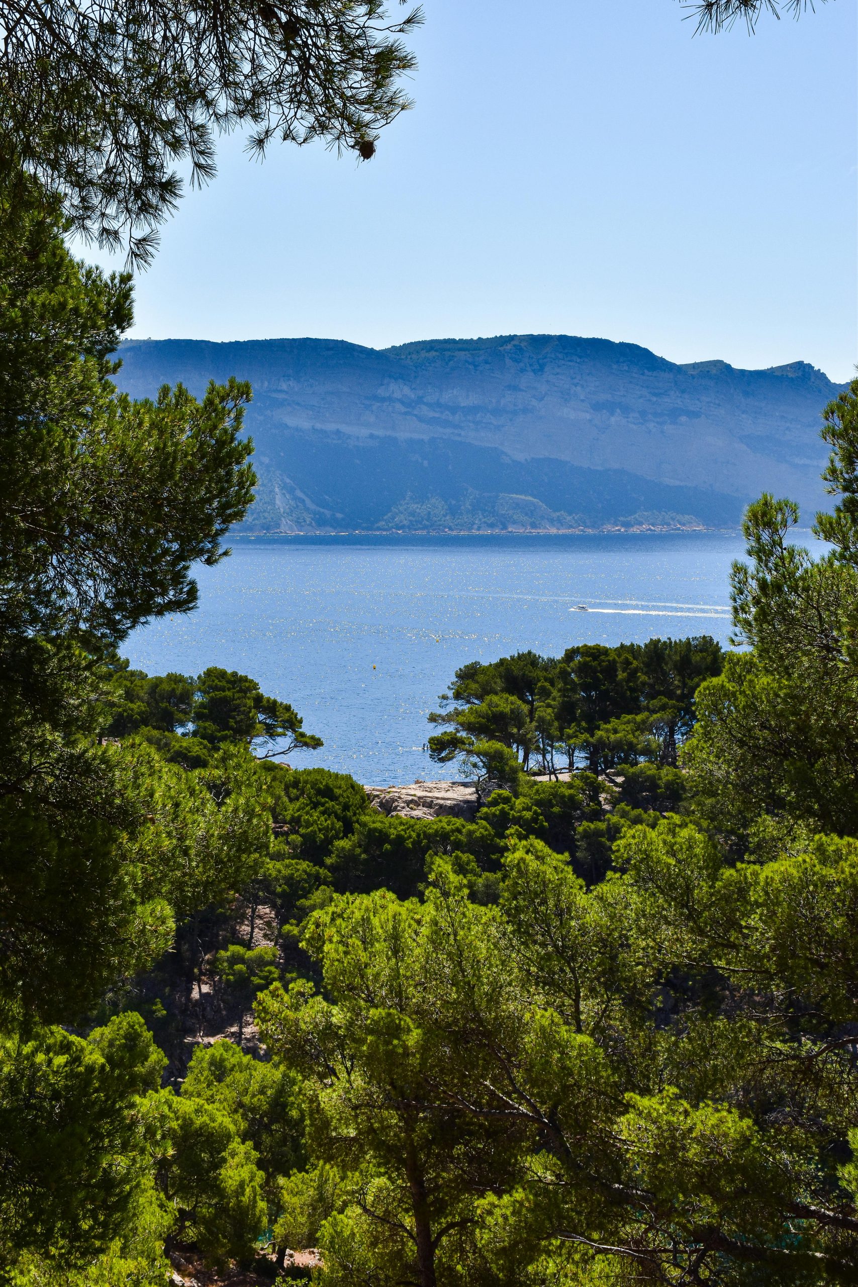 Breathtaking view of Calanques in Provence-Alpes-Côte d'Azur, France surrounded by lush greenery.